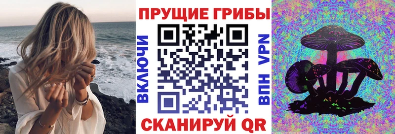 Псилоцибиновые грибы мицелий Торжок