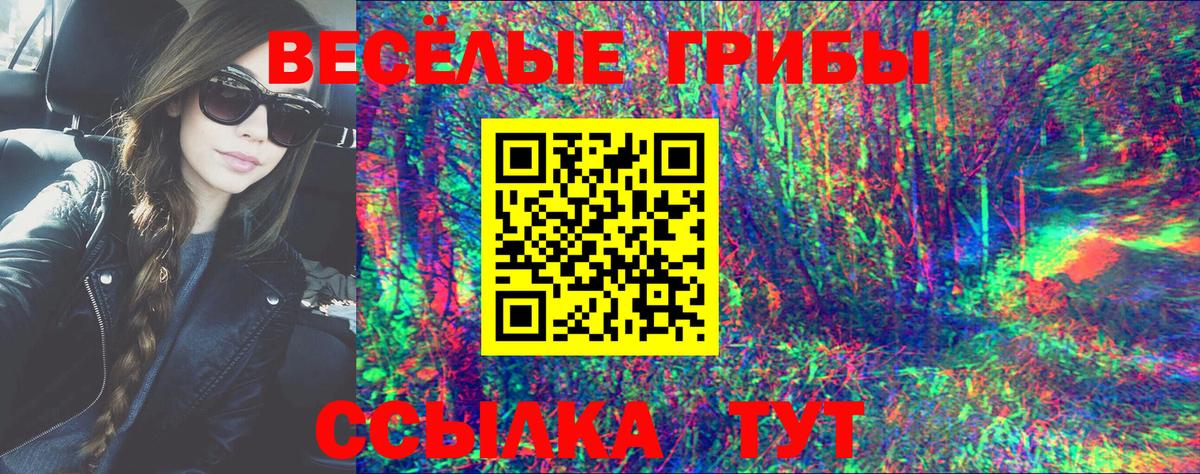 Галлюциногенные грибы прущие грибы  Вход с VPN  Торжок 